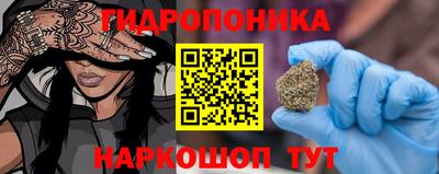 стаф Ижевск