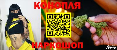 прущие грибы Иваново