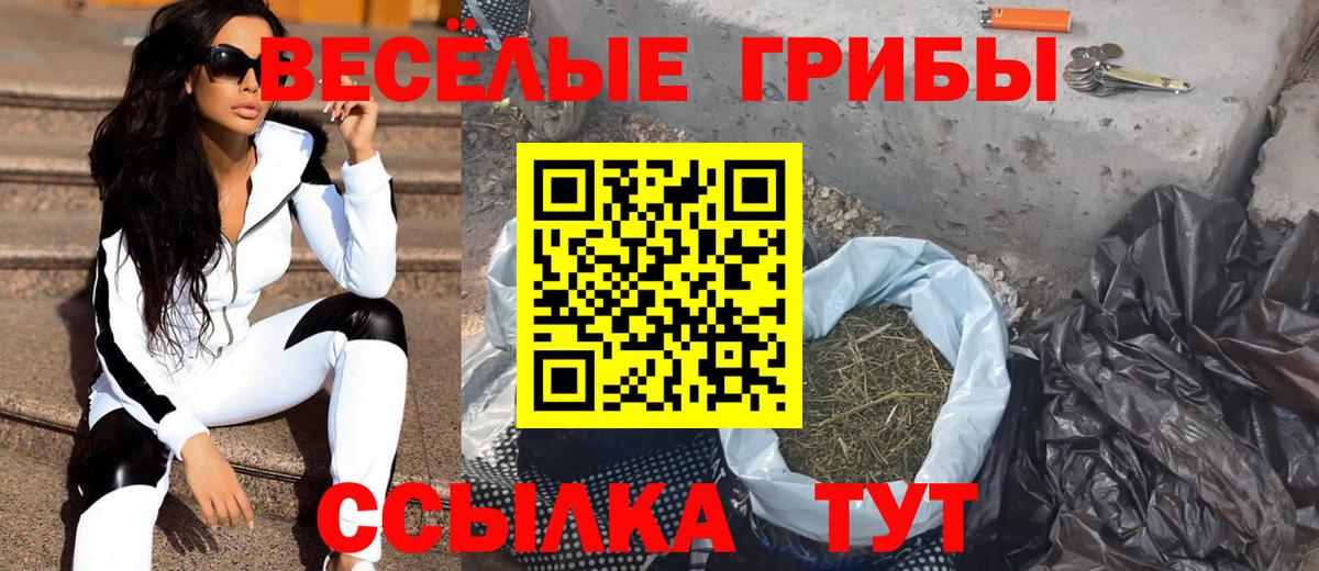 Галлюциногенные грибы мицелий Приморско-Ахтарск