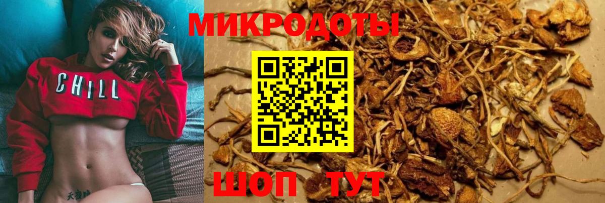Приморско-Ахтарск  Галлюциногенные грибы Magic Shrooms  как найти закладки  Вход с VPN 